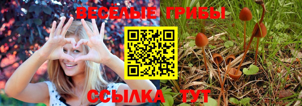 Галлюциногенные грибы Psilocybe  Галлюциногенные грибы мицелий  Гагарин  Вход с VPN 