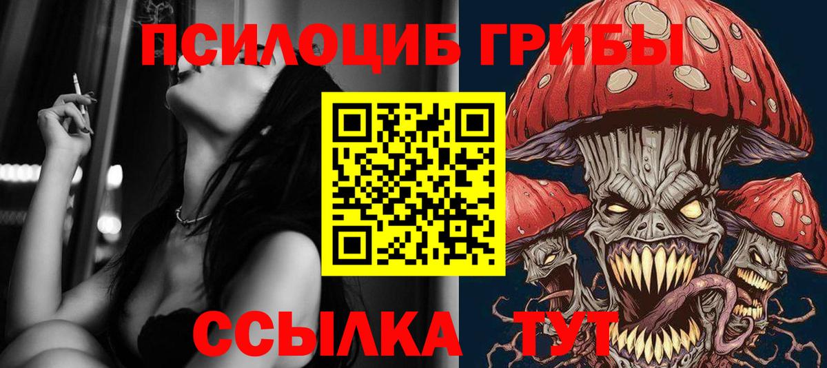 Псилоцибиновые грибы Cubensis Гагарин